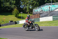 Vintage-motorcycle-club;eventdigitalimages;mallory-park;mallory-park-trackday-photographs;no-limits-trackdays;peter-wileman-photography;trackday-digital-images;trackday-photos;vmcc-festival-1000-bikes-photographs